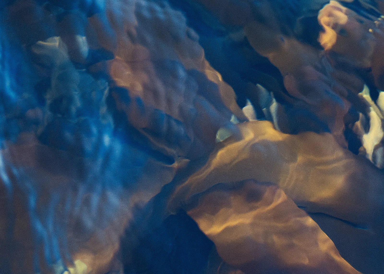 Paradoks wody Paradoks wody