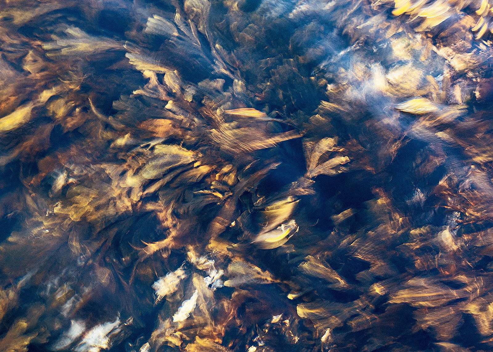 Paradoks wody Paradoks wody